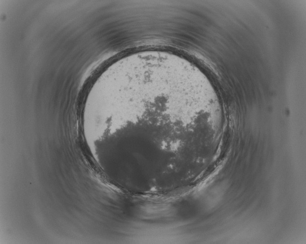 X0000076271117200610191732