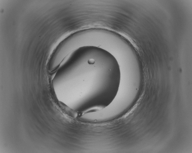 X0000076271118200610191732