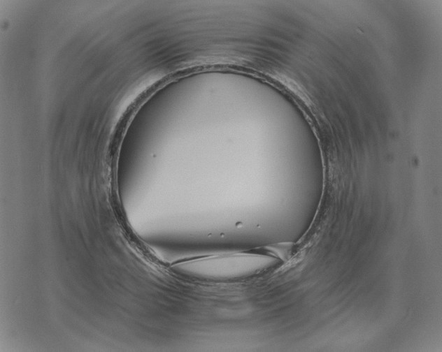 X0000076271119200610191732