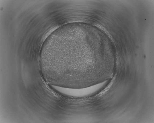 X0000076271121200610191732