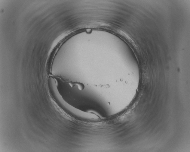 X0000076271122200610191733