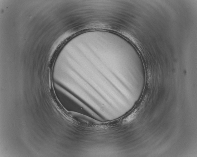 X0000076271123200610191733