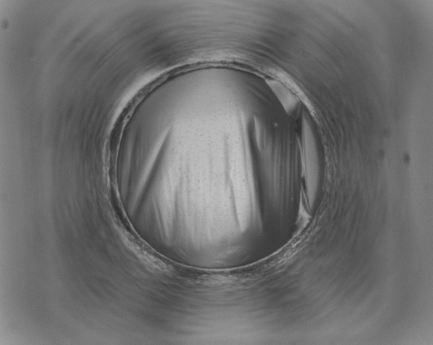 X0000076271124200610191733