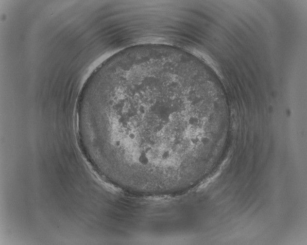 X0000076271125200610191733