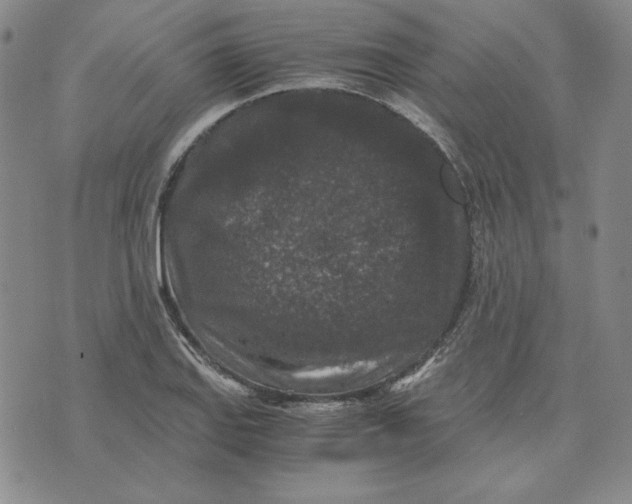 X0000076271127200610191733