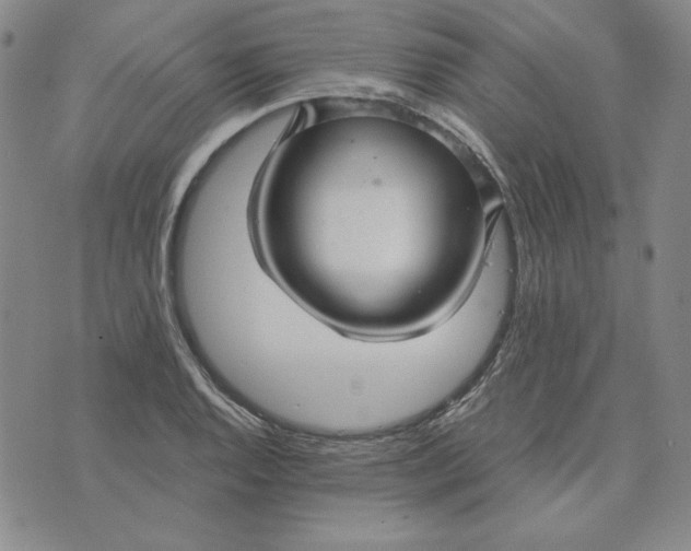 X0000076271128200610191733