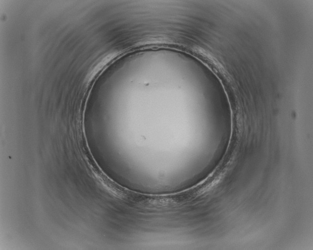 X0000076271129200610191733