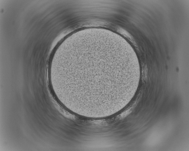 X0000076271130200610191733