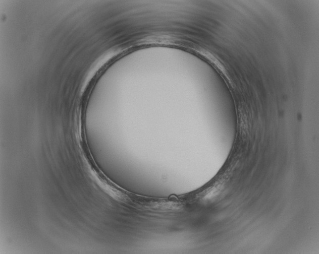 X0000076271131200610191733