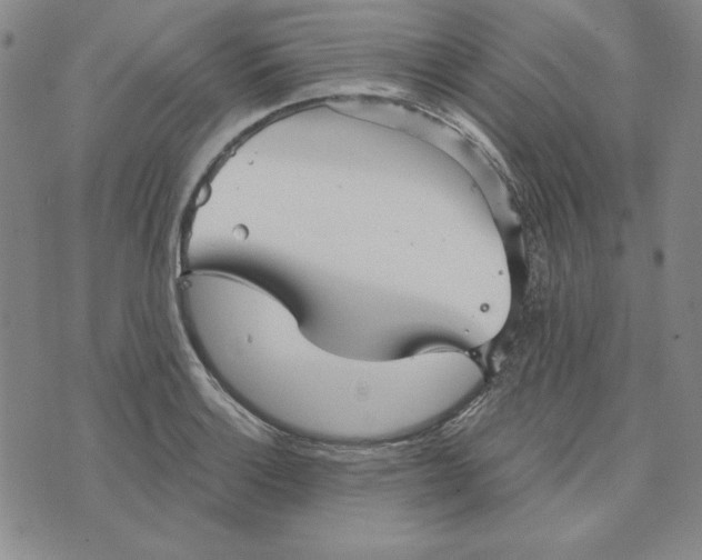 X0000076271132200610191733