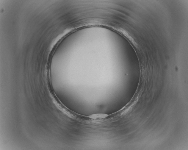 X0000076271134200610191733