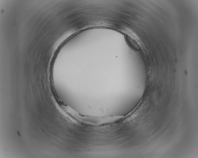 X0000076271135200610191733