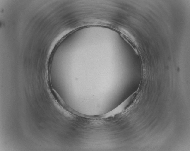 X0000076271136200610191733