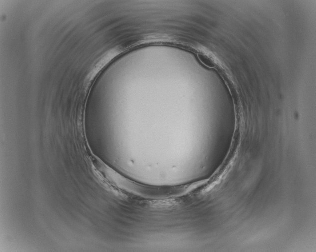 X0000076271137200610191733