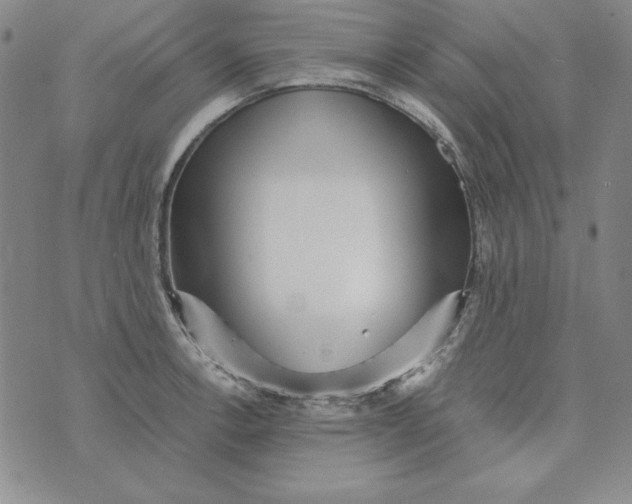 X0000076271138200610191733