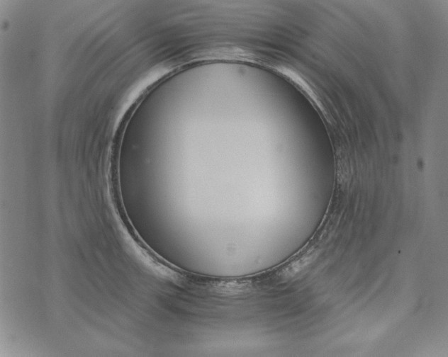 X0000076271139200610191733