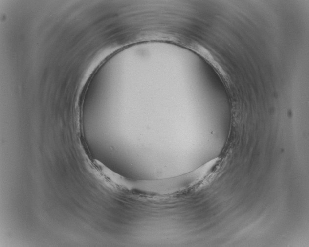 X0000076271140200610191733