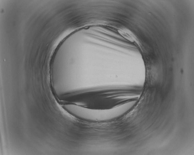 X0000076271143200610191733