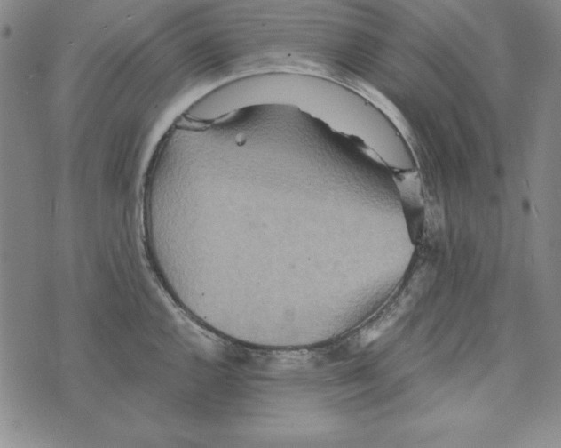 X0000076271144200610191733