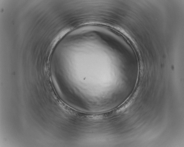 X0000076271145200610191733