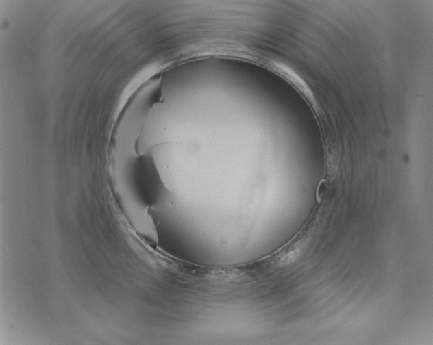 X0000076271146200610191733