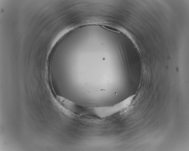 X0000076271147200610191733