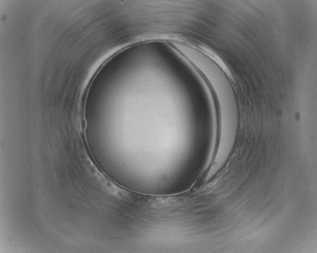 X0000076271148200610191733