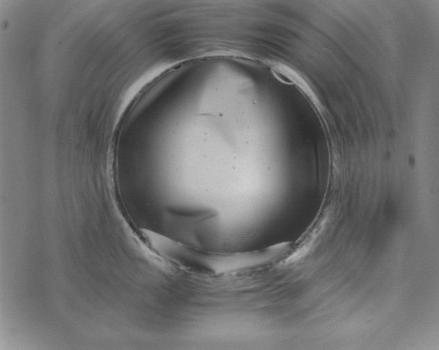 X0000076271149200610191733