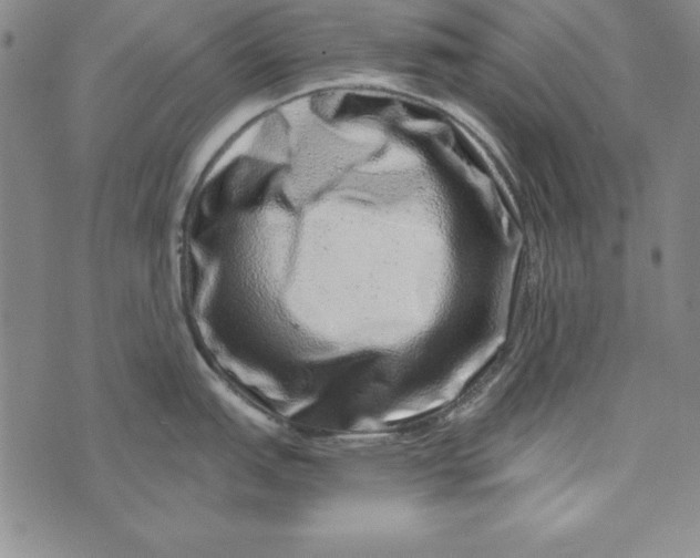 X0000076271151200610191733