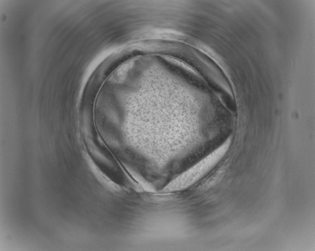 X0000076271152200610191733