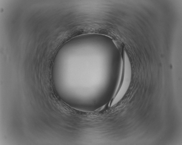 X0000076271153200610191732