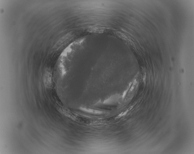 X0000076271154200610191732