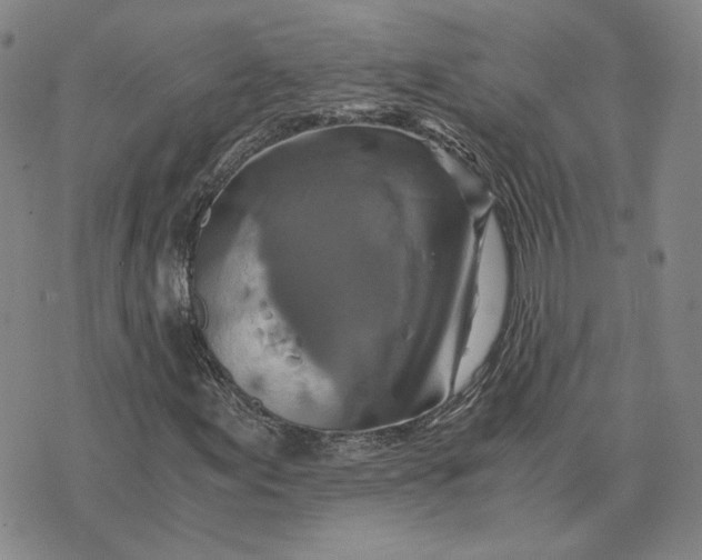 X0000076271155200610191732