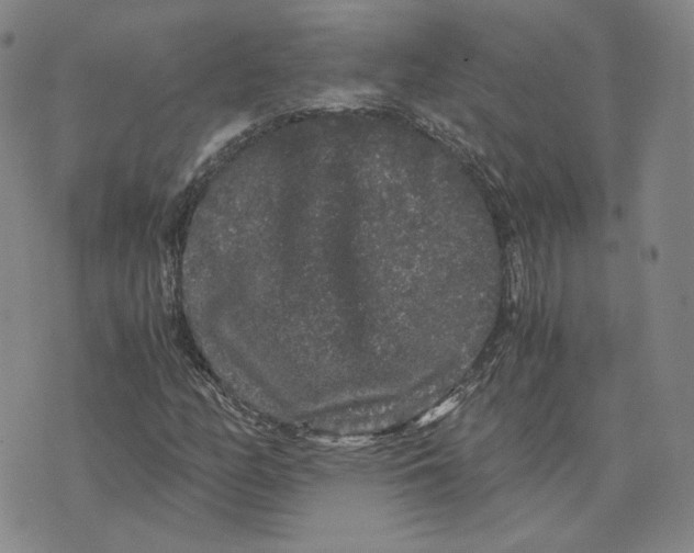 X0000076271158200610191732