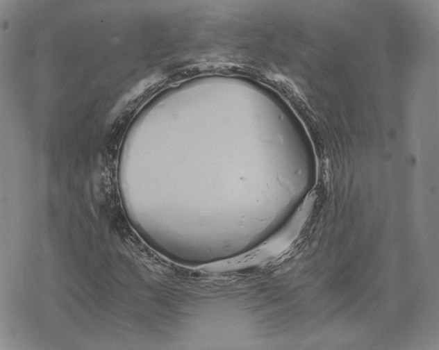 X0000076271159200610191732