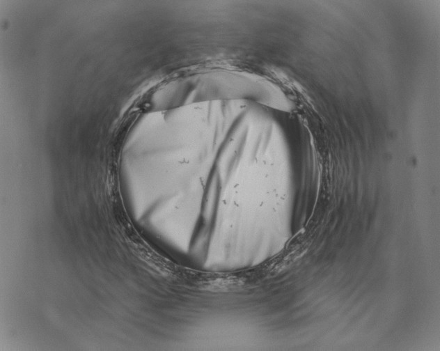 X0000076271160200610191732