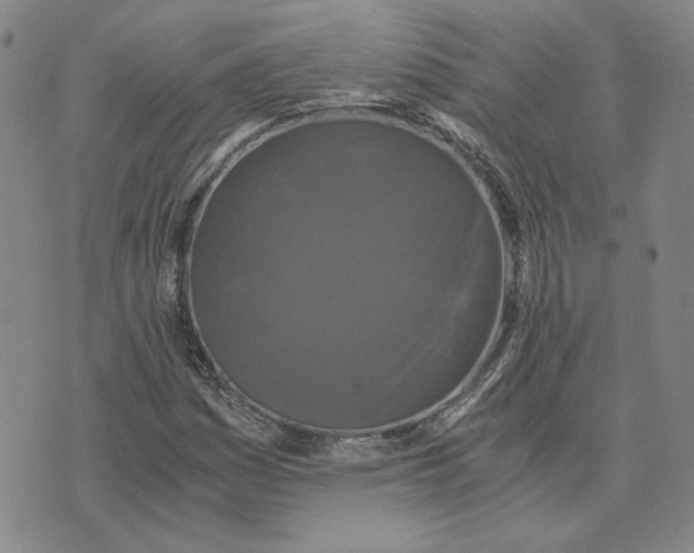 X0000076271161200610191732