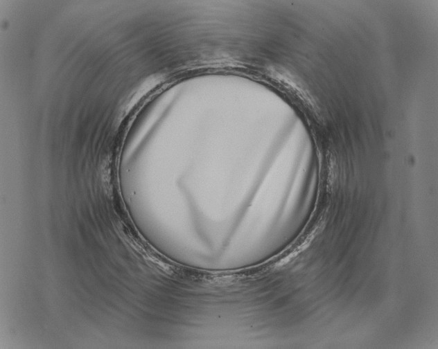 X0000076271162200610191732