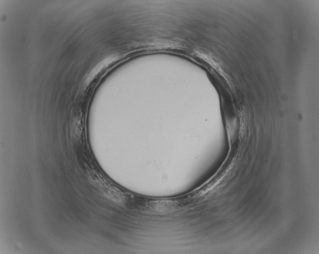 X0000076271163200610191732