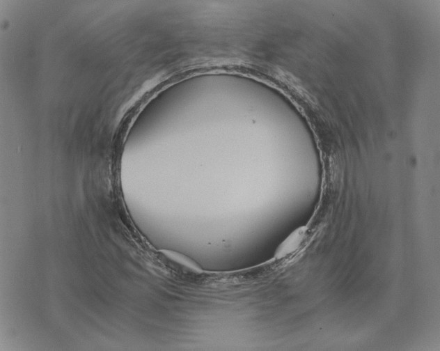 X0000076271165200610191732