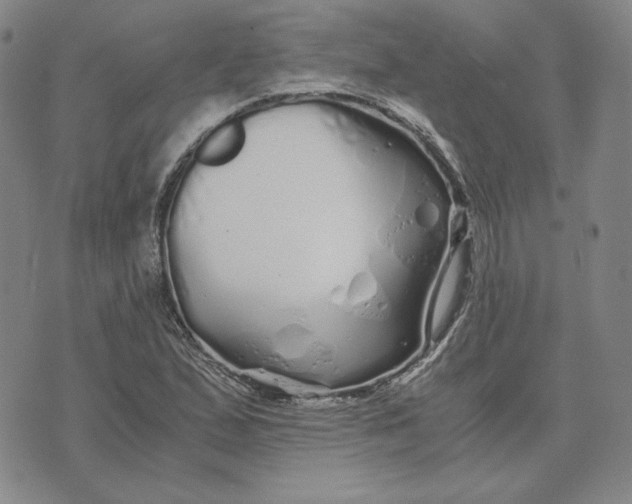 X0000076271167200610191732