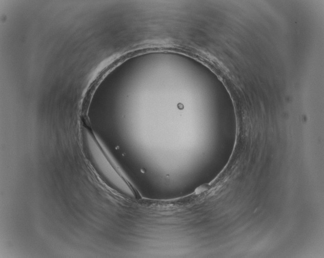 X0000076271168200610191732