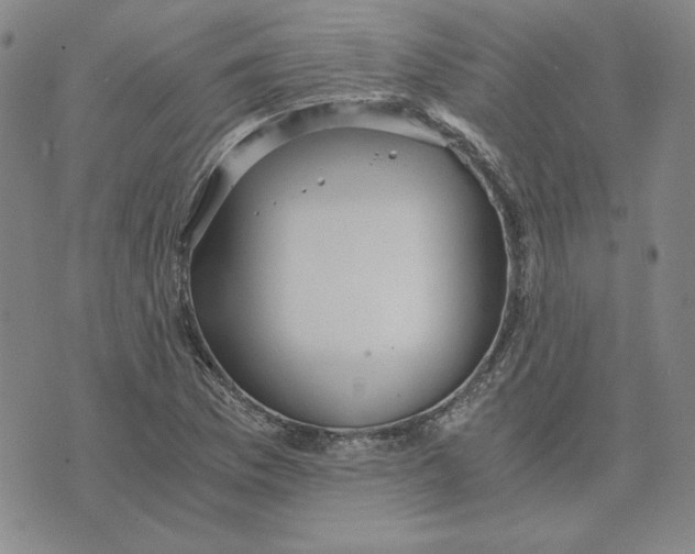 X0000076271169200610191732