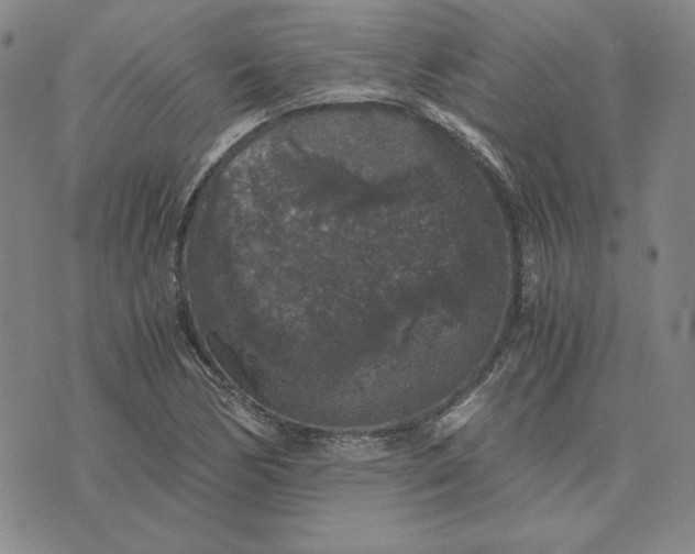 X0000076271170200610191732