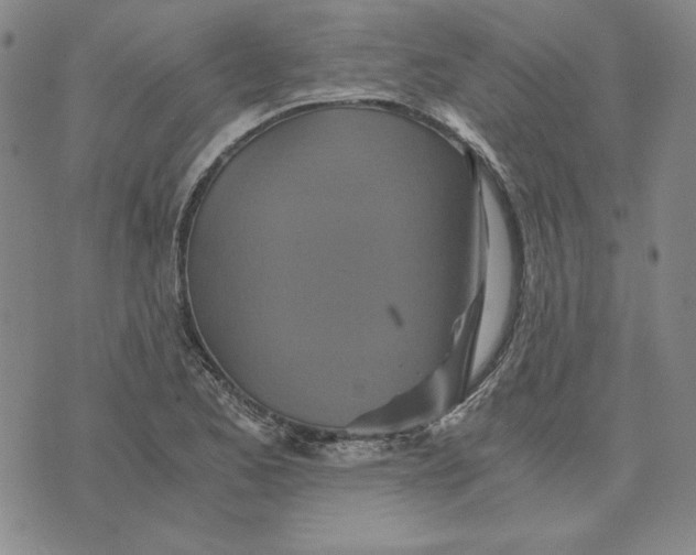 X0000076271173200610191732