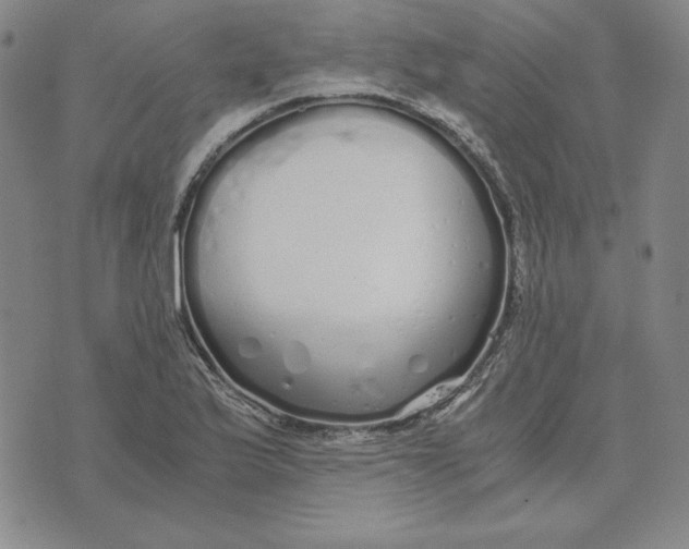 X0000076271175200610191732