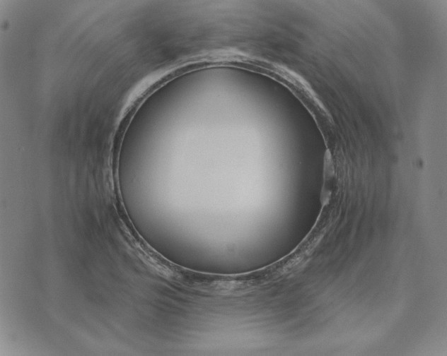 X0000076271176200610191732