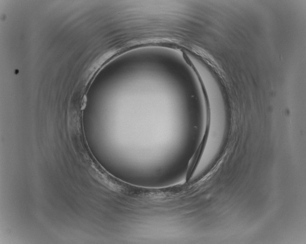 X0000076271177200610191732