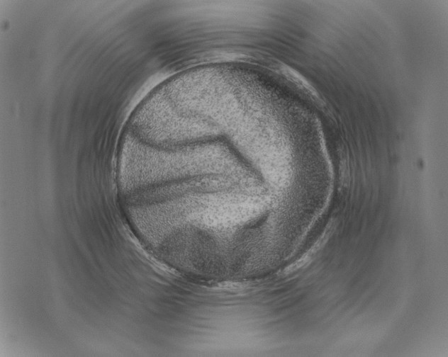 X0000076271178200610191732