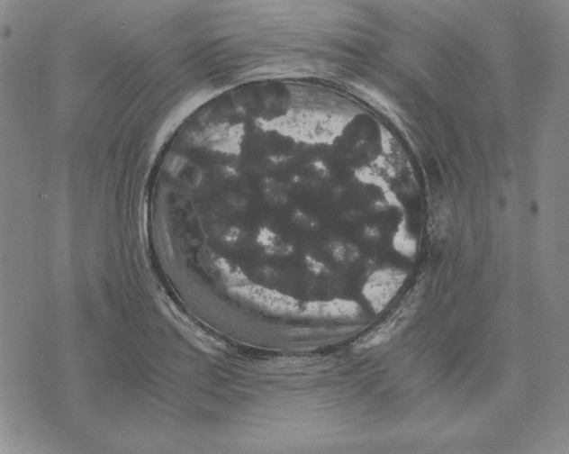 X0000076271179200610191732